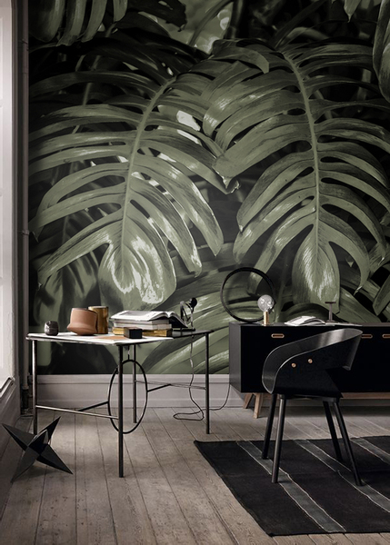Papier peint Feuilles de Monstera