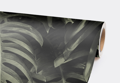 Papier peint Feuilles de Monstera