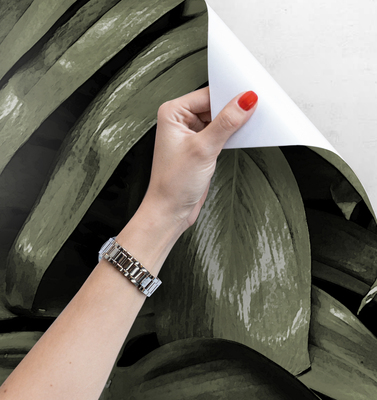 Papier peint Feuilles de Monstera