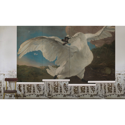 Papier peint adhésif Le cygne majestueux