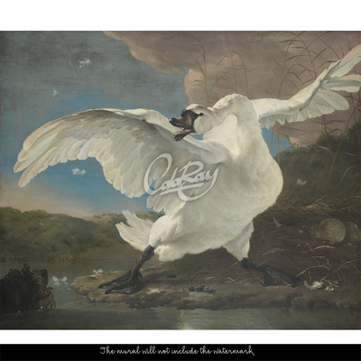 Papier peint adhésif Le cygne majestueux