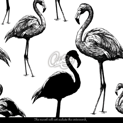 Papier peint Flamants roses non évidents