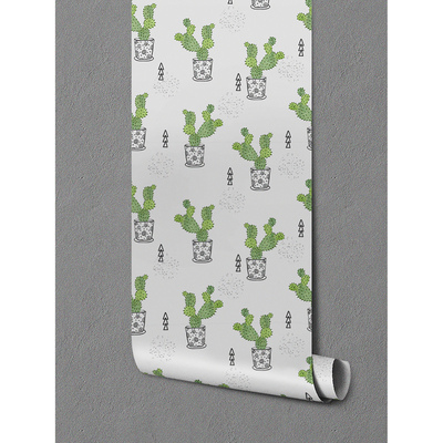 Papier peint panoramique Le règne du cactus