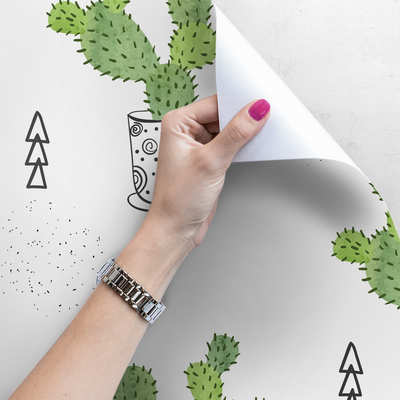 Papier peint panoramique Le règne du cactus