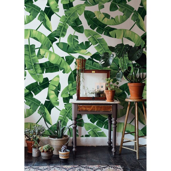 Tapisserie panoramique Feuilles de bananier réalistes