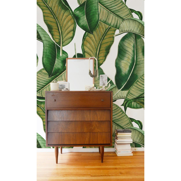 Tapisserie panoramique Jardin botanique apaisant