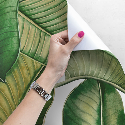 Tapisserie panoramique Jardin botanique apaisant