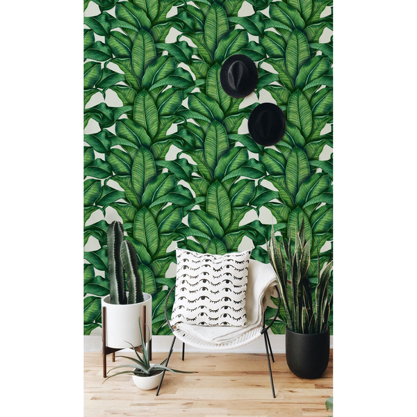 Tapisserie panoramique Jardin botanique luxuriant