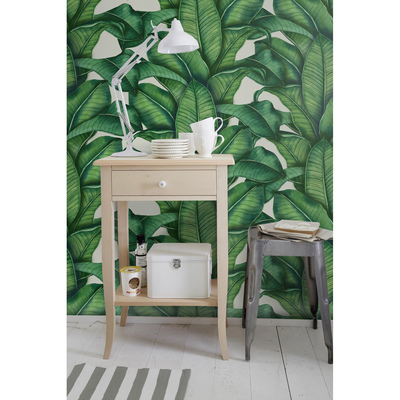 Tapisserie panoramique Jardin botanique luxuriant