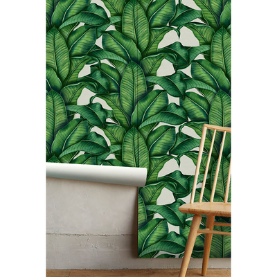 Tapisserie panoramique Jardin botanique luxuriant