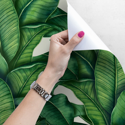 Tapisserie panoramique Jardin botanique luxuriant