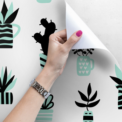 Papier peint Des pots remplis de plantes