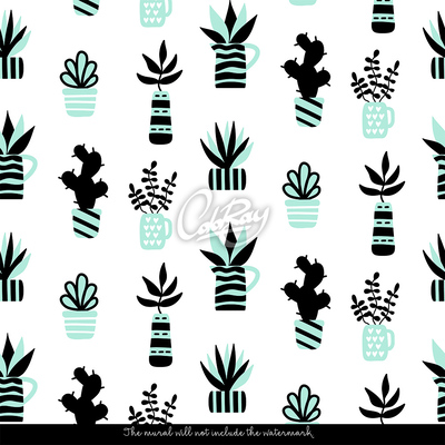 Papier peint Des pots remplis de plantes