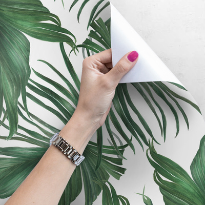 Tapisserie murale Feuilles de palmier aérées