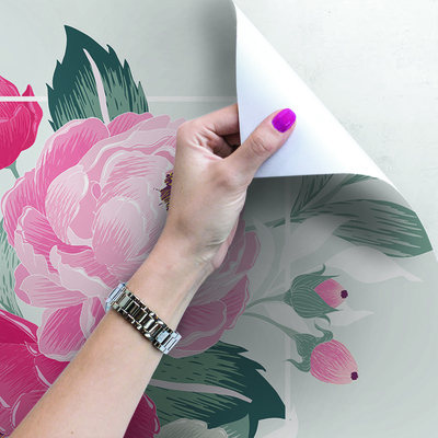 Papier peint Fleurs d'hibiscus colorées