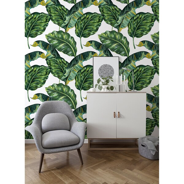 Papier peint À l'ombre des feuilles de Monstera