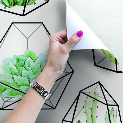 Papier peint Cactus multidimensionnel