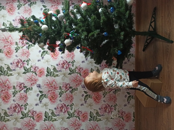 Tapisserie murale Il était une fois dans le jardin des fées