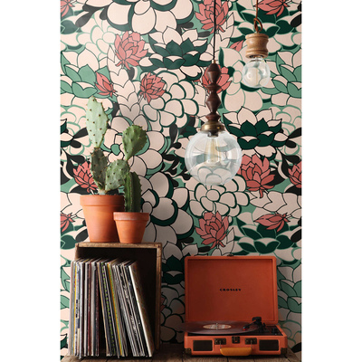 Papier peint adhésif Cactus à fleurs succulentes