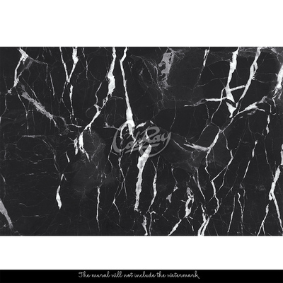 Tapisserie panoramique L'élégance du marbre noir