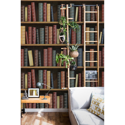 Papier peint Librairie ancienne