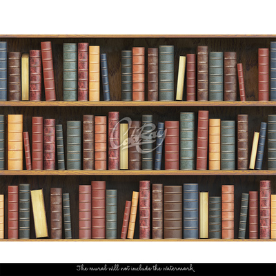 Papier peint Librairie ancienne