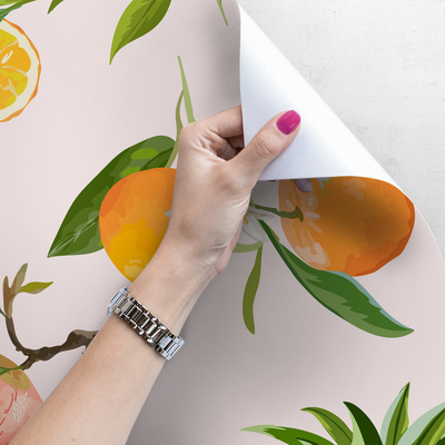 Papier peint Cocktail de fruits exotiques