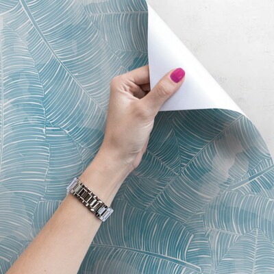 Papier peint Feuilles de palmier givrées