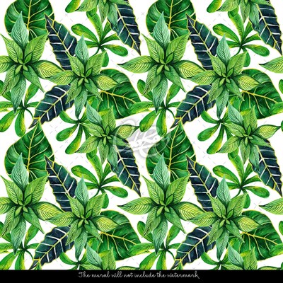 Papier peint adhésif Jardin du Paradis