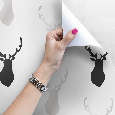 Papier peint Les ombres du cerf
