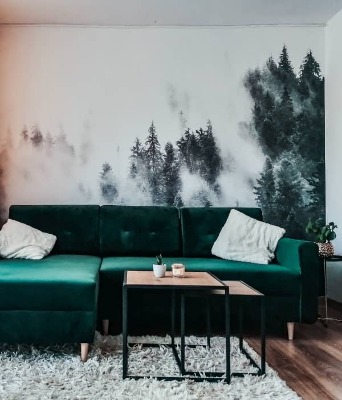 Papier peint adhésif Brouillard mystérieux