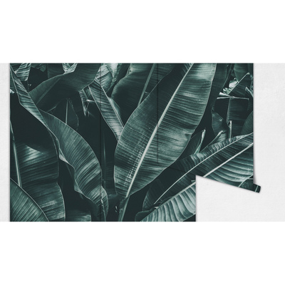 Papier peint Un sommeil réparateur à l'ombre d'un arbre