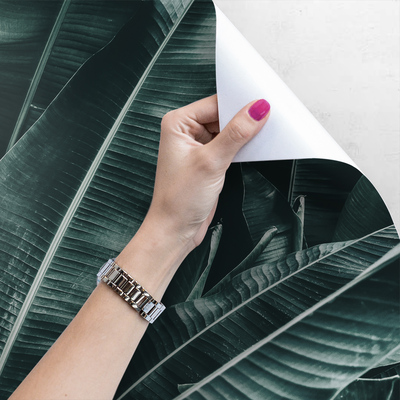 Papier peint Un sommeil réparateur à l'ombre d'un arbre