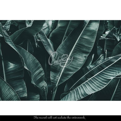 Papier peint Un sommeil réparateur à l'ombre d'un arbre