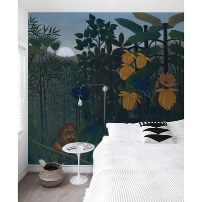 Papier peint Coucher de soleil dans la jungle