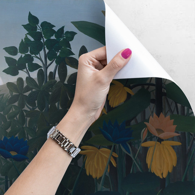 Papier peint Coucher de soleil dans la jungle