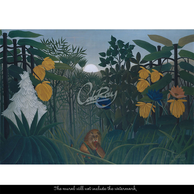 Papier peint Coucher de soleil dans la jungle