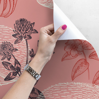 Papier peint adhésif Où va un hérisson la nuit ?