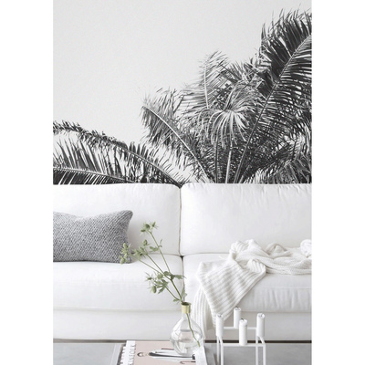 Papier peint adhésif Est-ce qu'il y a un palmier qui pousse ici ?