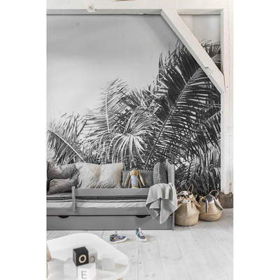 Papier peint adhésif Est-ce qu'il y a un palmier qui pousse ici ?