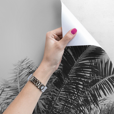 Papier peint adhésif Est-ce qu'il y a un palmier qui pousse ici ?