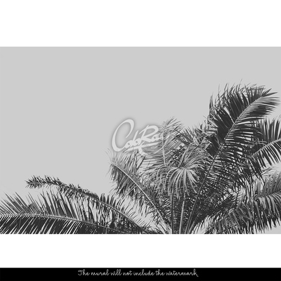 Papier peint adhésif Est-ce qu'il y a un palmier qui pousse ici ?