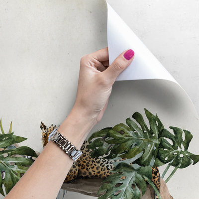 Papier peint Safari et animaux sauvages