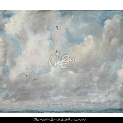 Papier peint adhésif Nuages errants