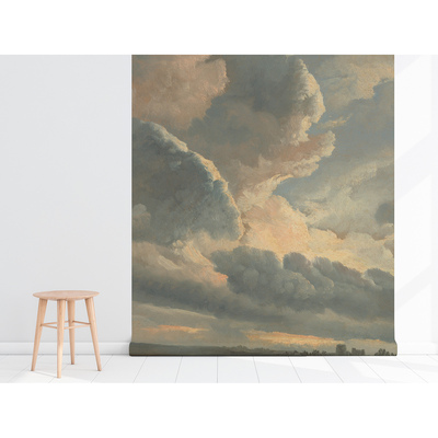 Papier peint panoramique Ciel sauvage