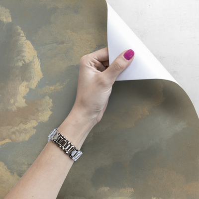 Papier peint panoramique Ciel sauvage