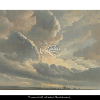 Papier peint panoramique Ciel sauvage