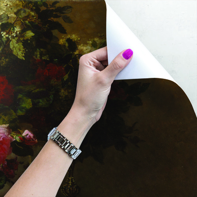 Papier peint Fleurs de rose