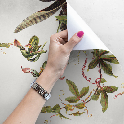 Papier peint Une journée parmi les fleurs tropicales