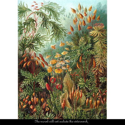 Tapisserie murale Jungle tropicale au centre-ville